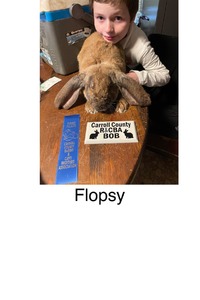 BFR Flopsy