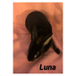 Bronson's Bunnies Luna (Luna)