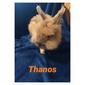 Hilferding Hills Thanos (Thanos)