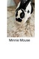 BFR Minnie Mouse